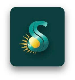 Logo Solink